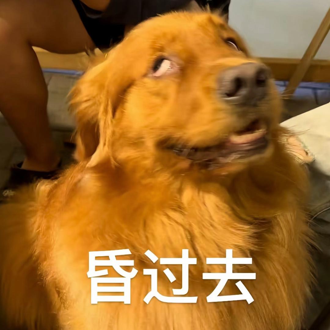小斗维尼