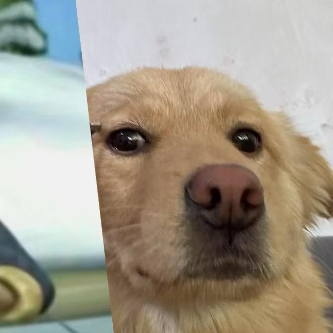 跳跳犬