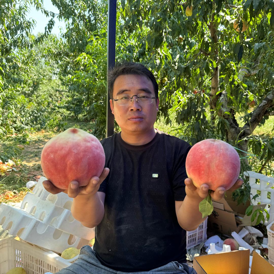 新三农老姚