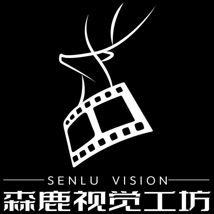 森麓视觉传媒有限公司