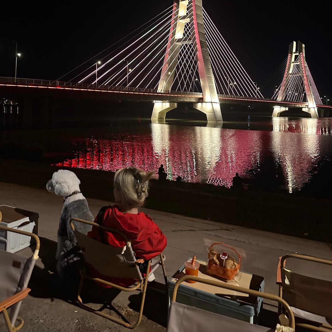 陪伴宠物进宝店