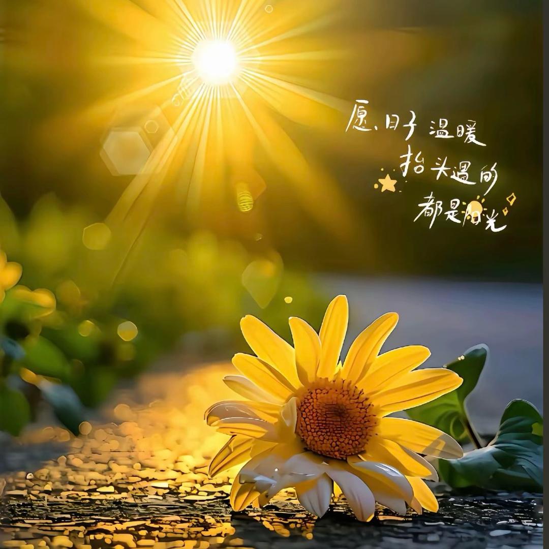 芊芊玉阁🍃新疆和田玉