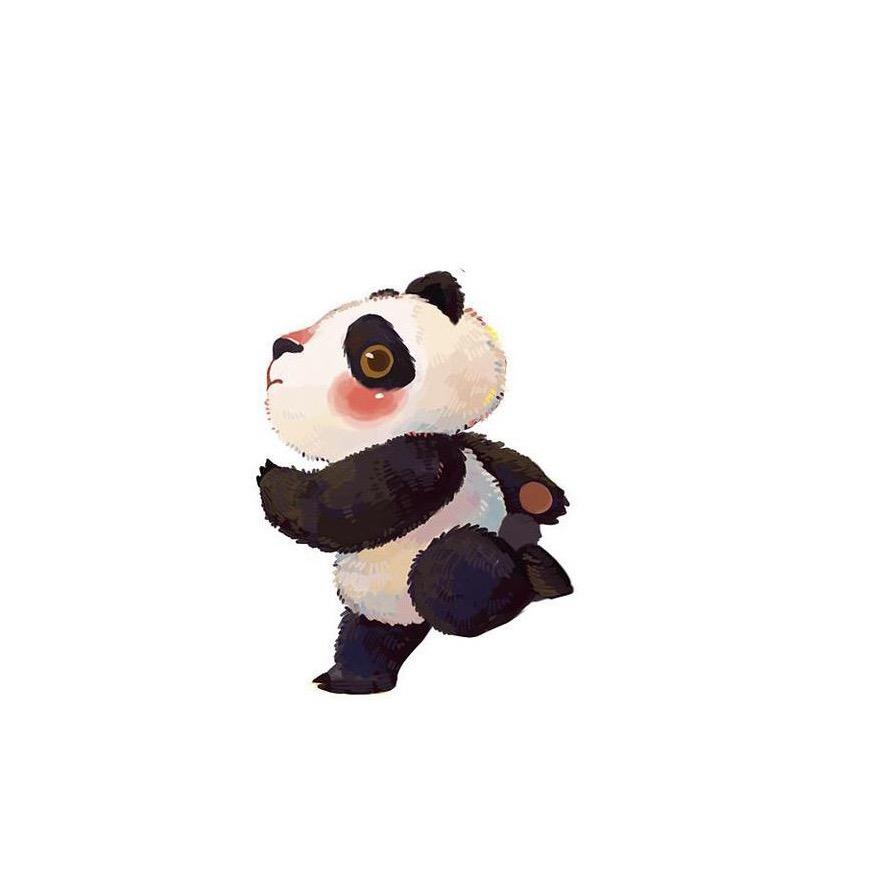 阿宝是只比熊犬