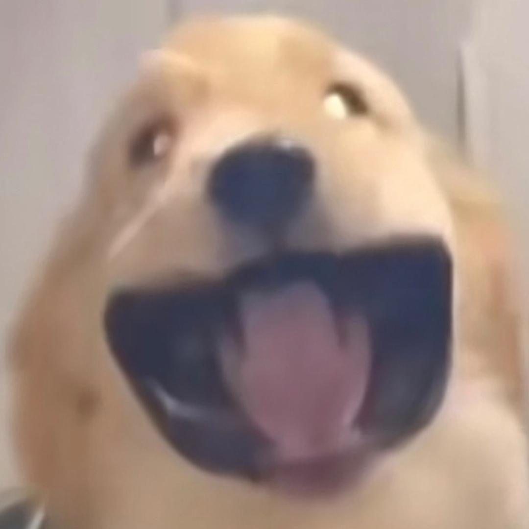 叫我小王就好啦！