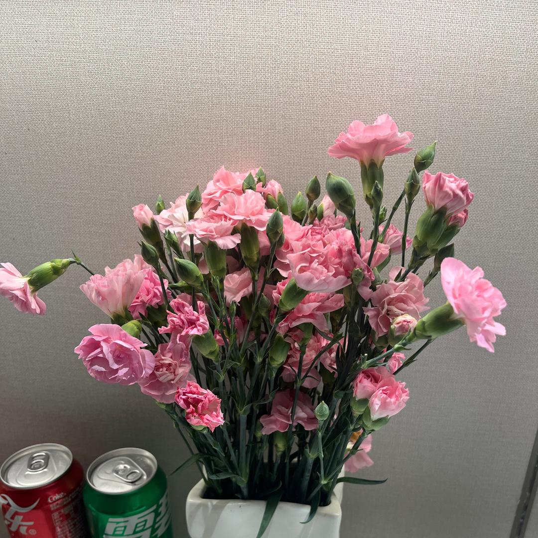 注销中