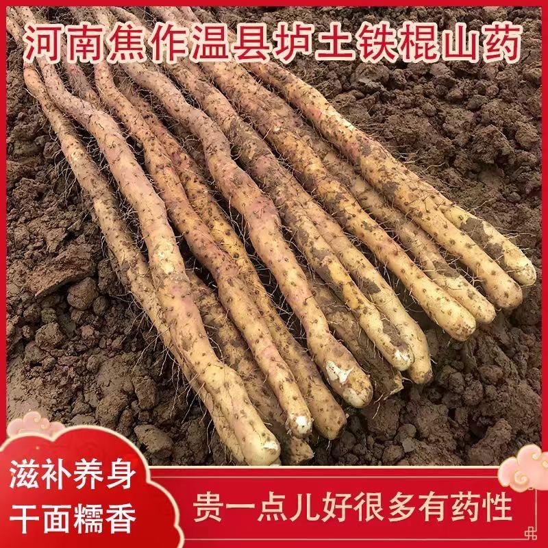 铁棍山药温县凯业健康作物精选铺