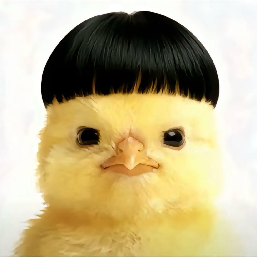一只小鸡