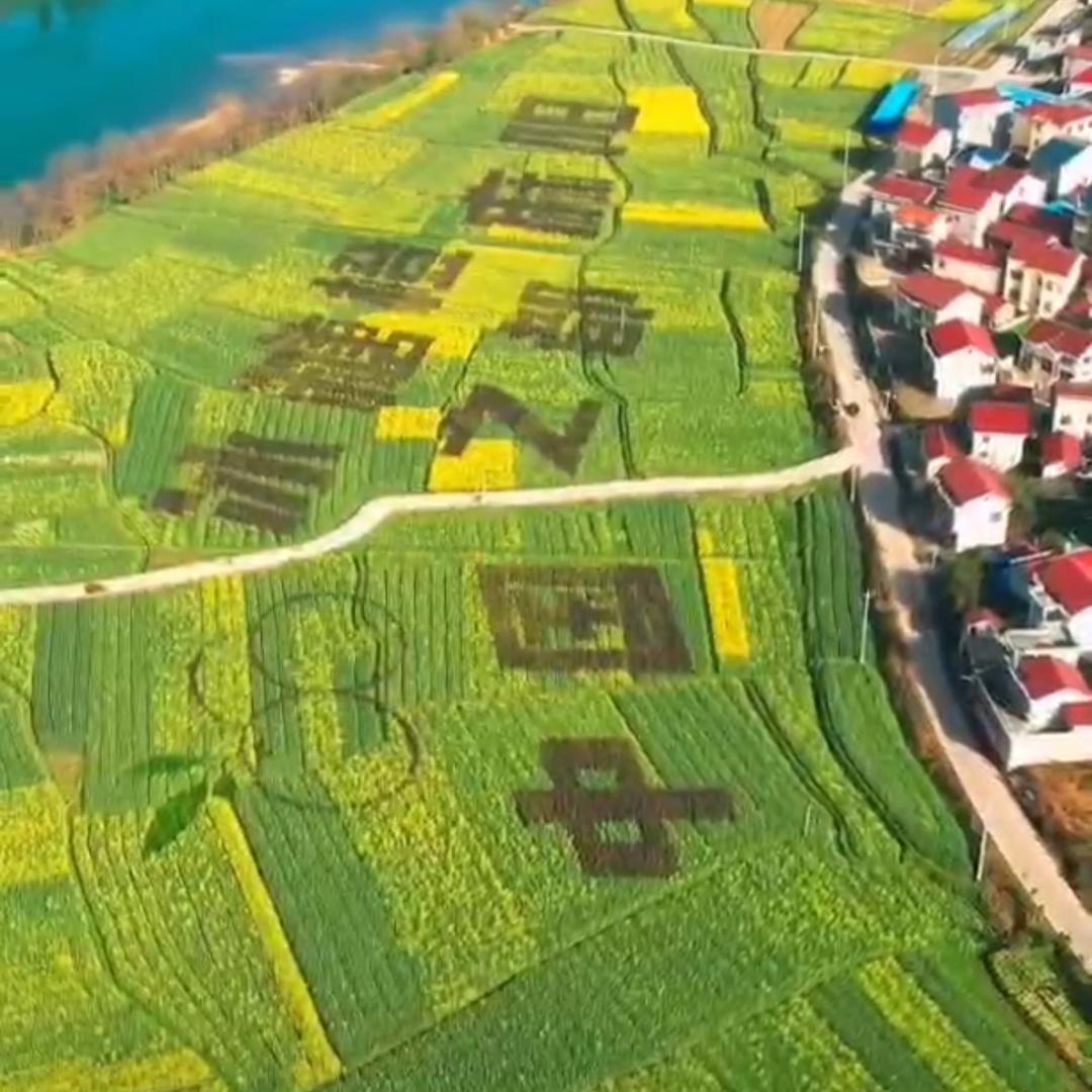 所住油坊