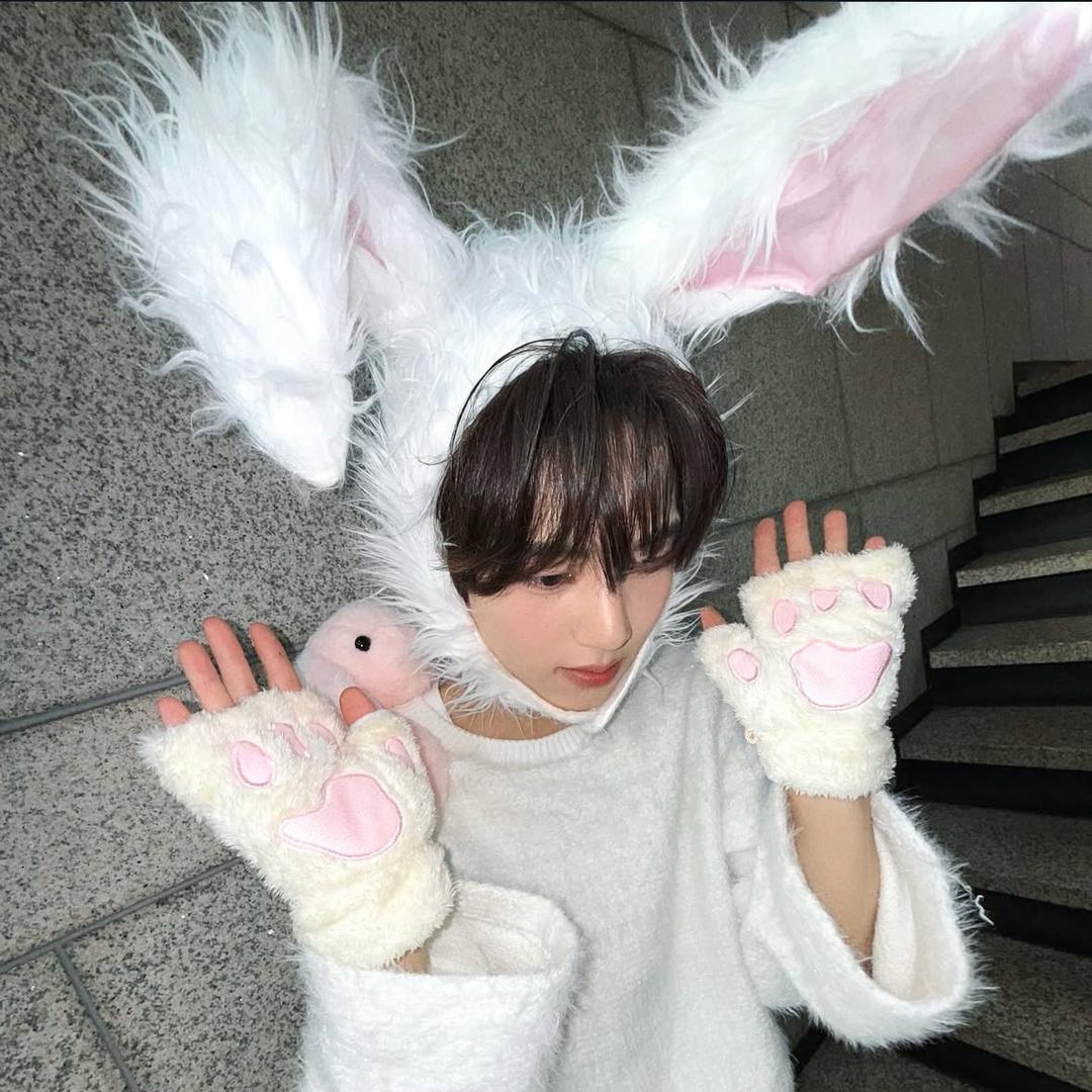yiyonee🐰