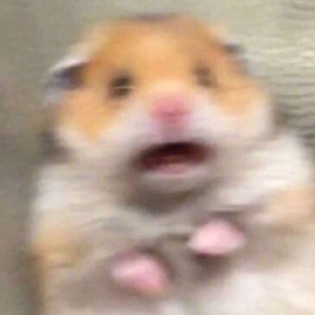 小玖