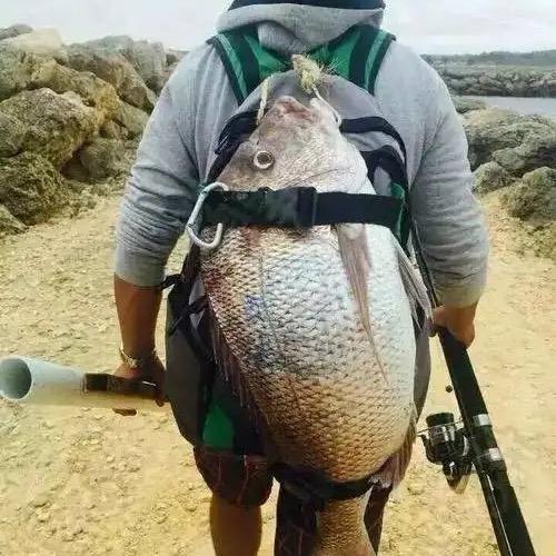 钓鱼🎣吧