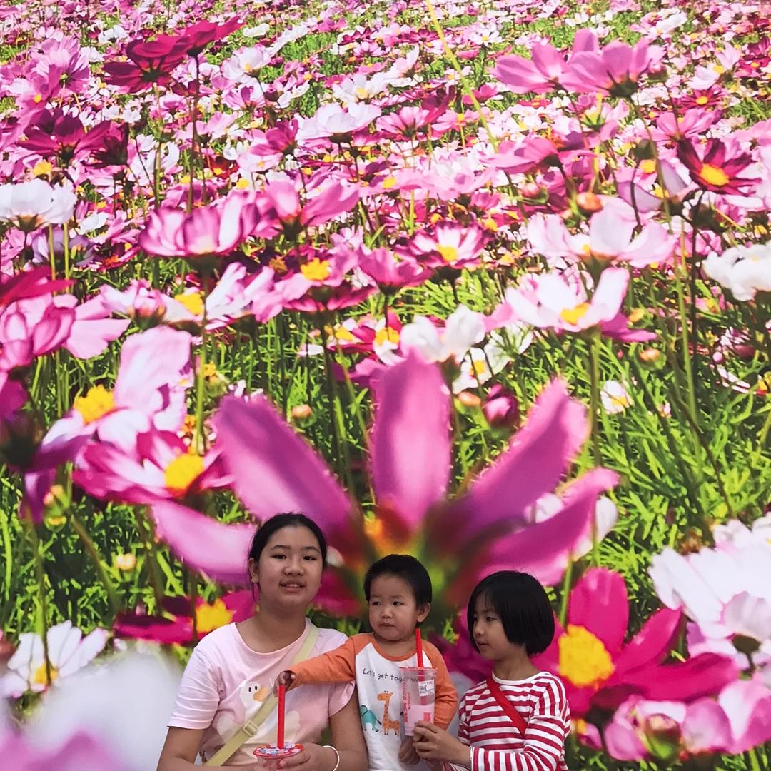 我是南方小土豆