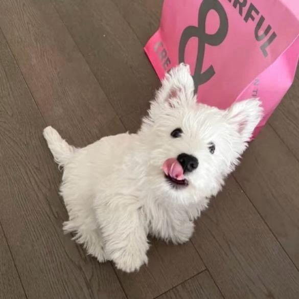 mikko.