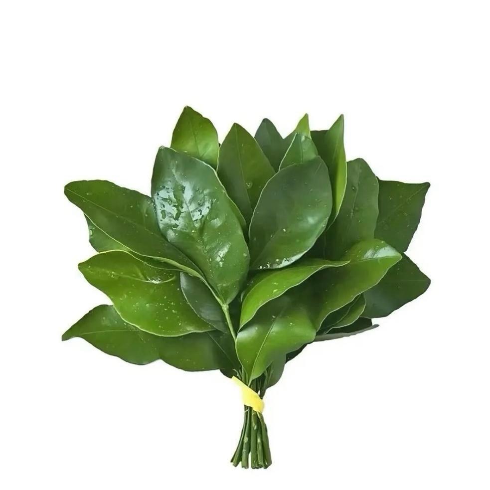 莉莉不爱吃芹菜🖤