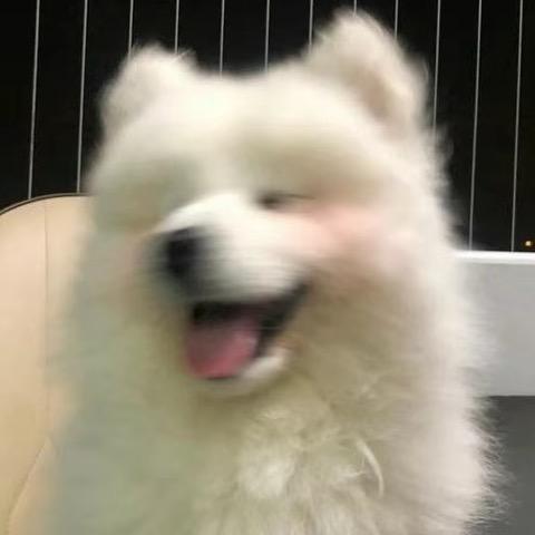 🌈🌈不是兰孩子