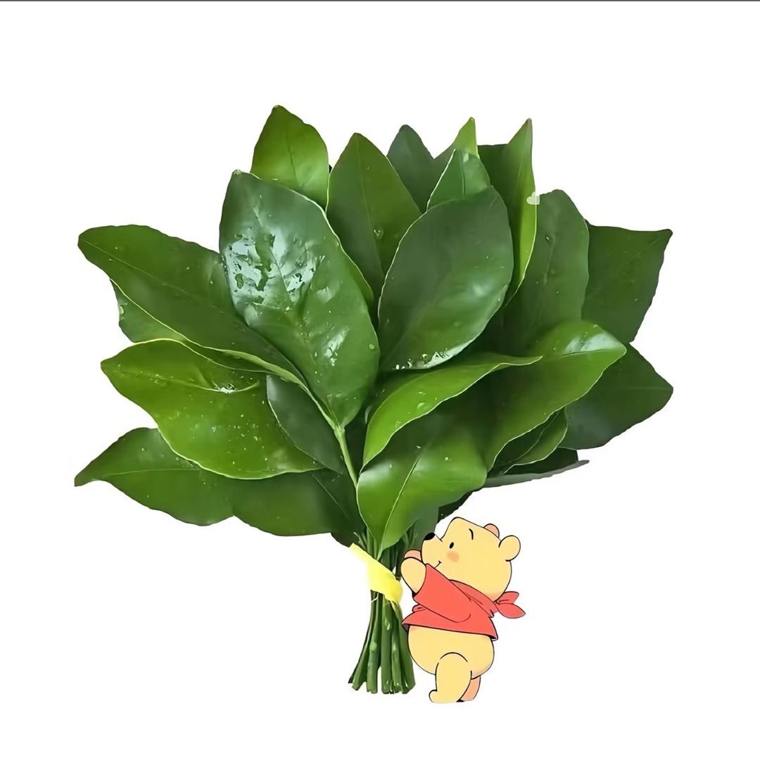 .komorebi