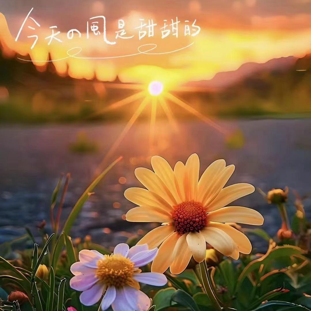 🤦‍♀️【杨妞】