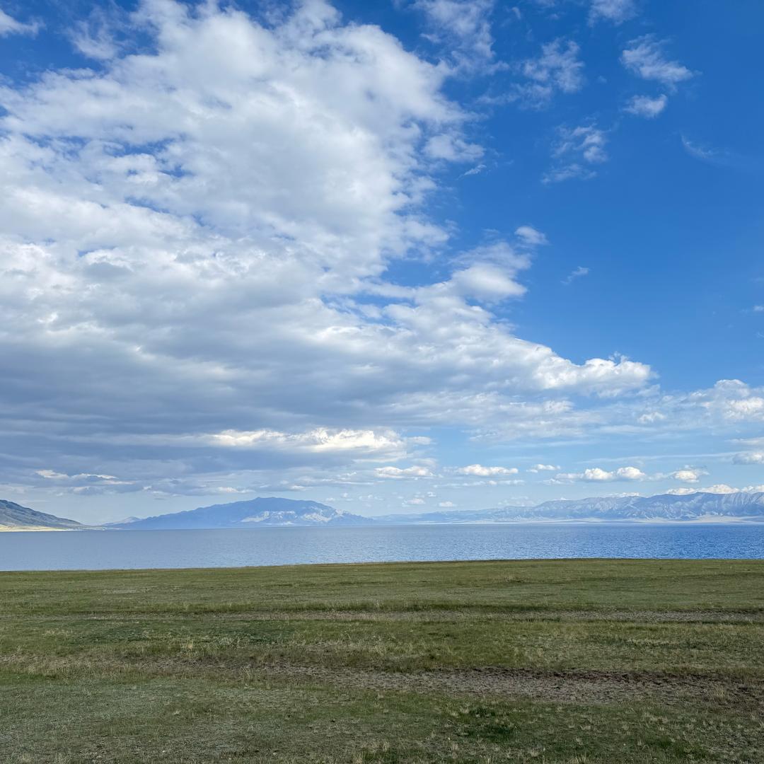 王  Waᴗangꪔ̤̮