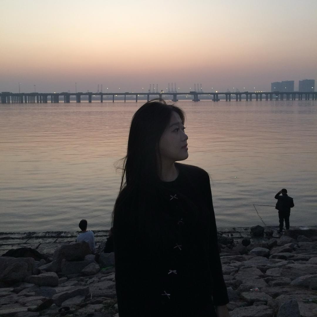 鲨鱼🦈