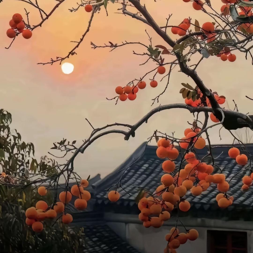 小蚯蚓爱钓鱼