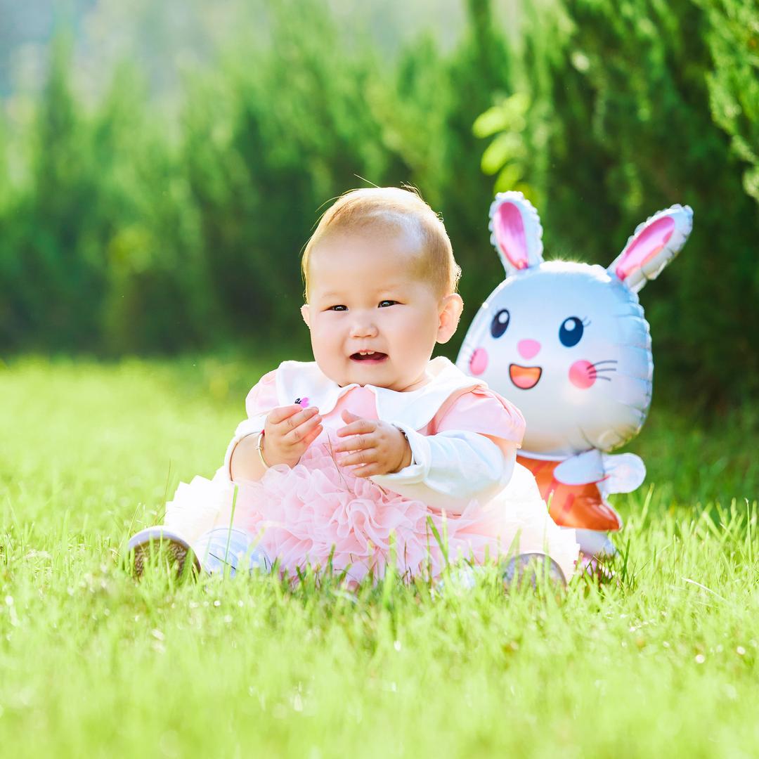 🌷ˎˊ˗ 福宝 🐇 ʺ̤