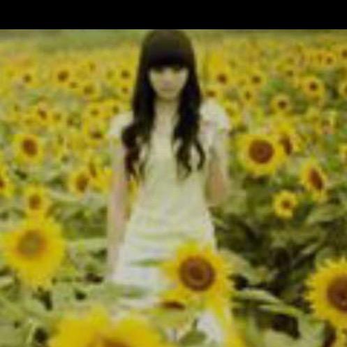 太阳花🌻