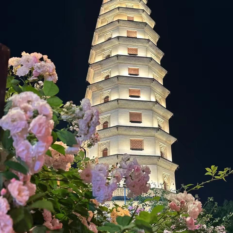 定州·房侦探