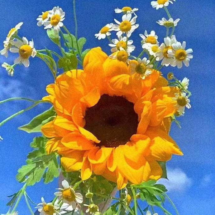 笑靥如花