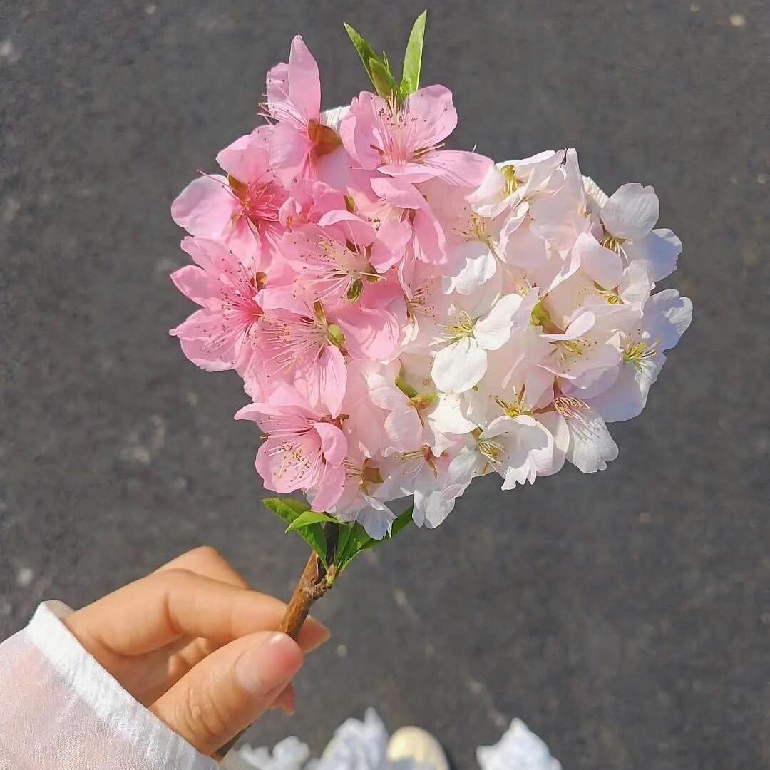 心静神来