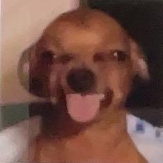 修勾🦴