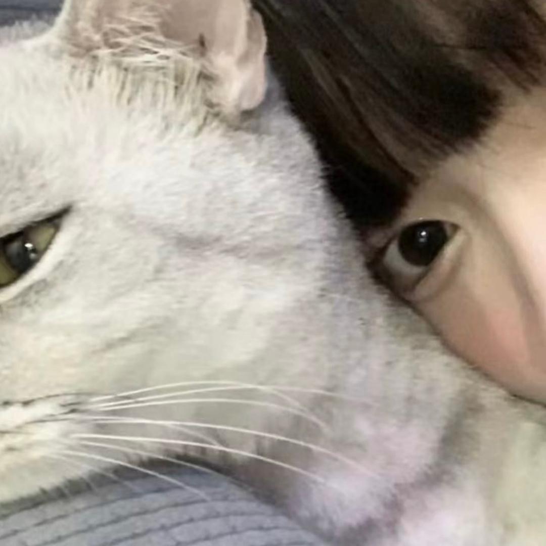 濤涛
