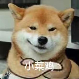 哒哒～