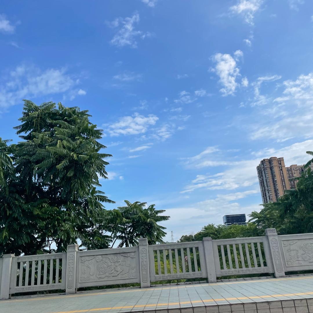 心晴（*^_^*）