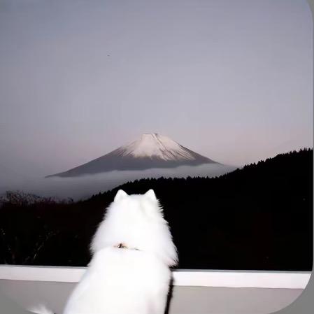 ㅤㅤㅤ         ㅤㅤㅤ
