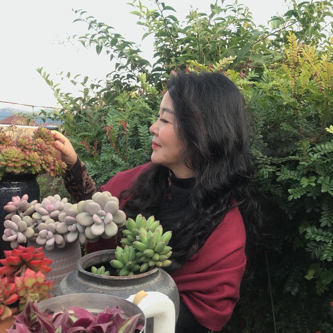 花笺