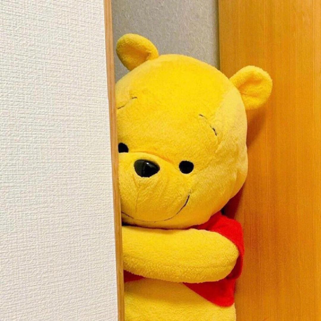 维尼(⑉• •⑉)