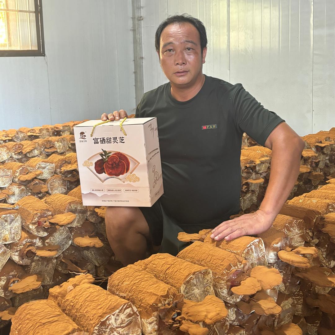 芝瑞汉草企业店