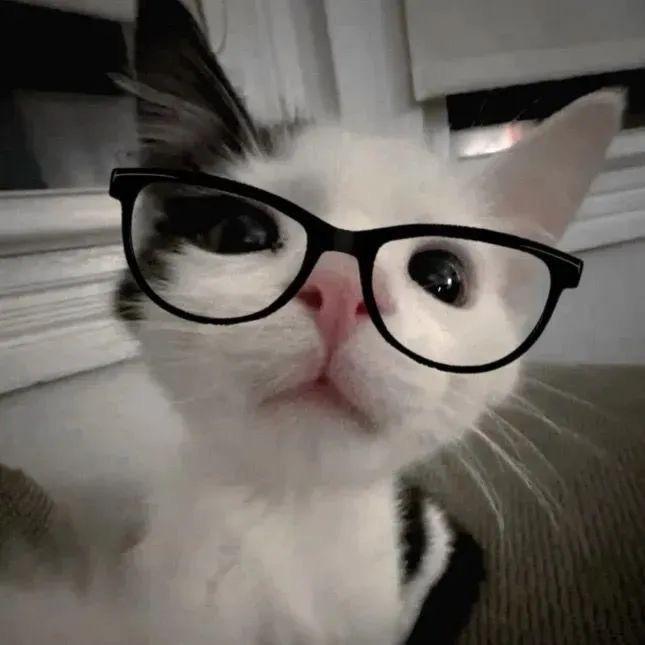 我主人