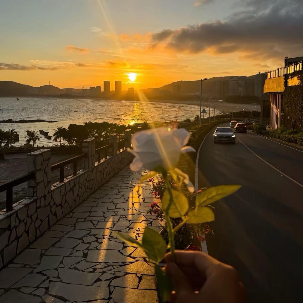 骑着蜗牛撵大象.