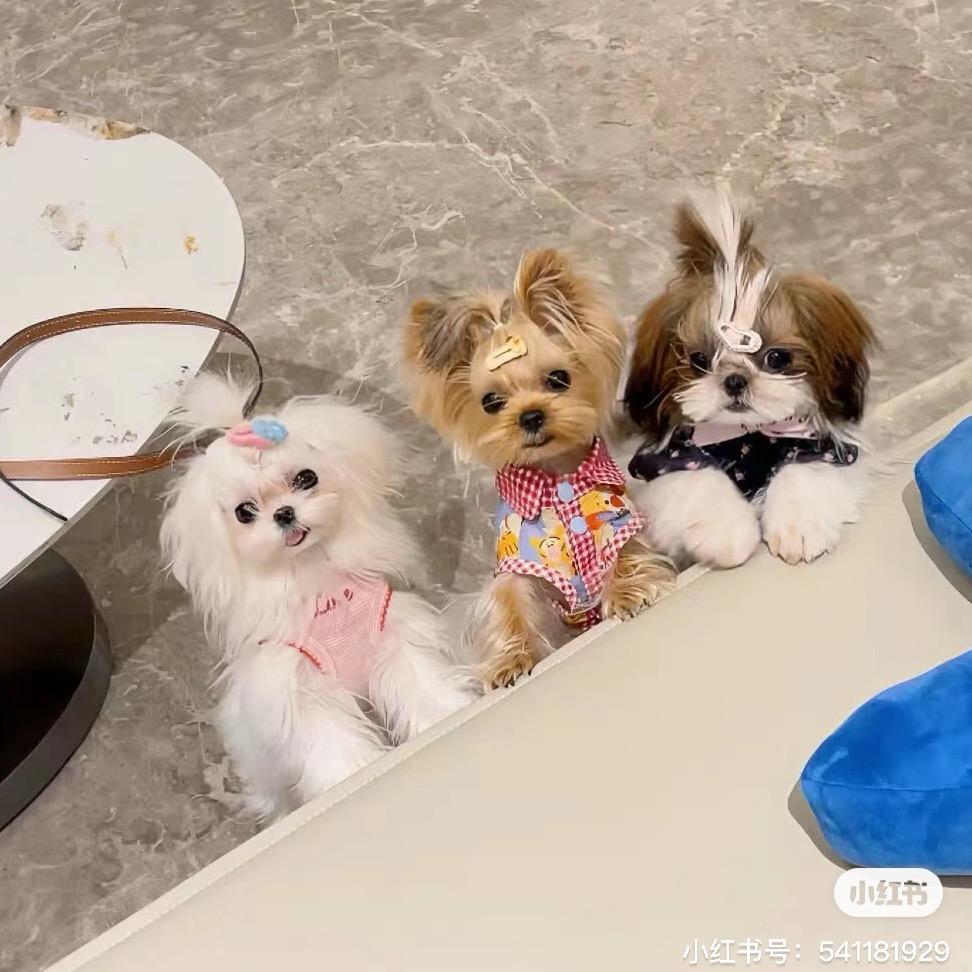 瑶瑶家华子美甲钻球