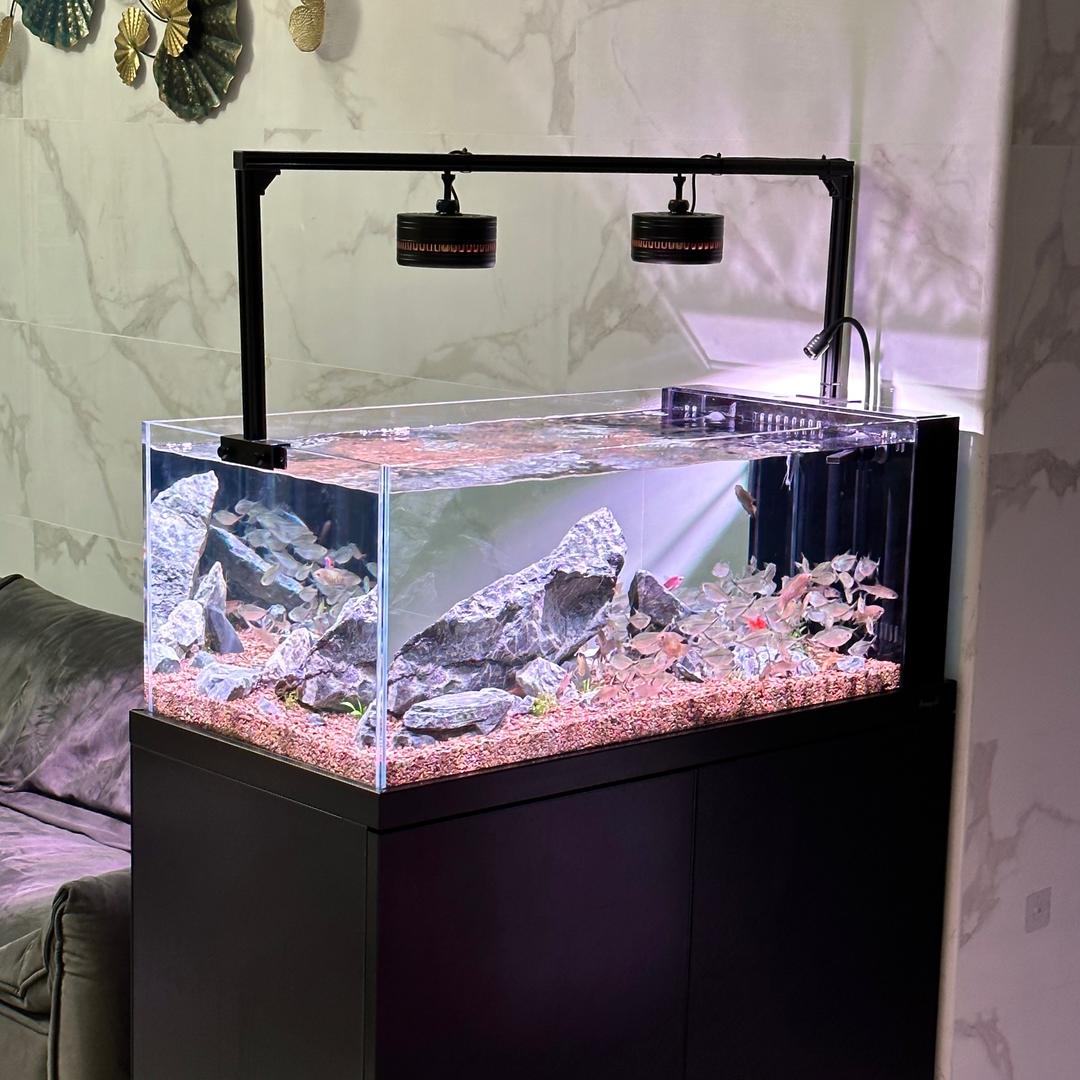 鱼乐圈🐟