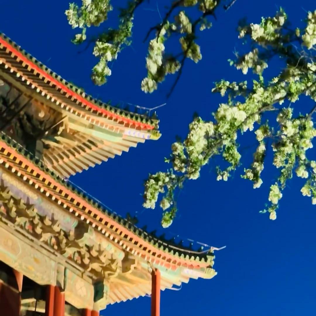 金聚博便利(新阳西街店)官方号