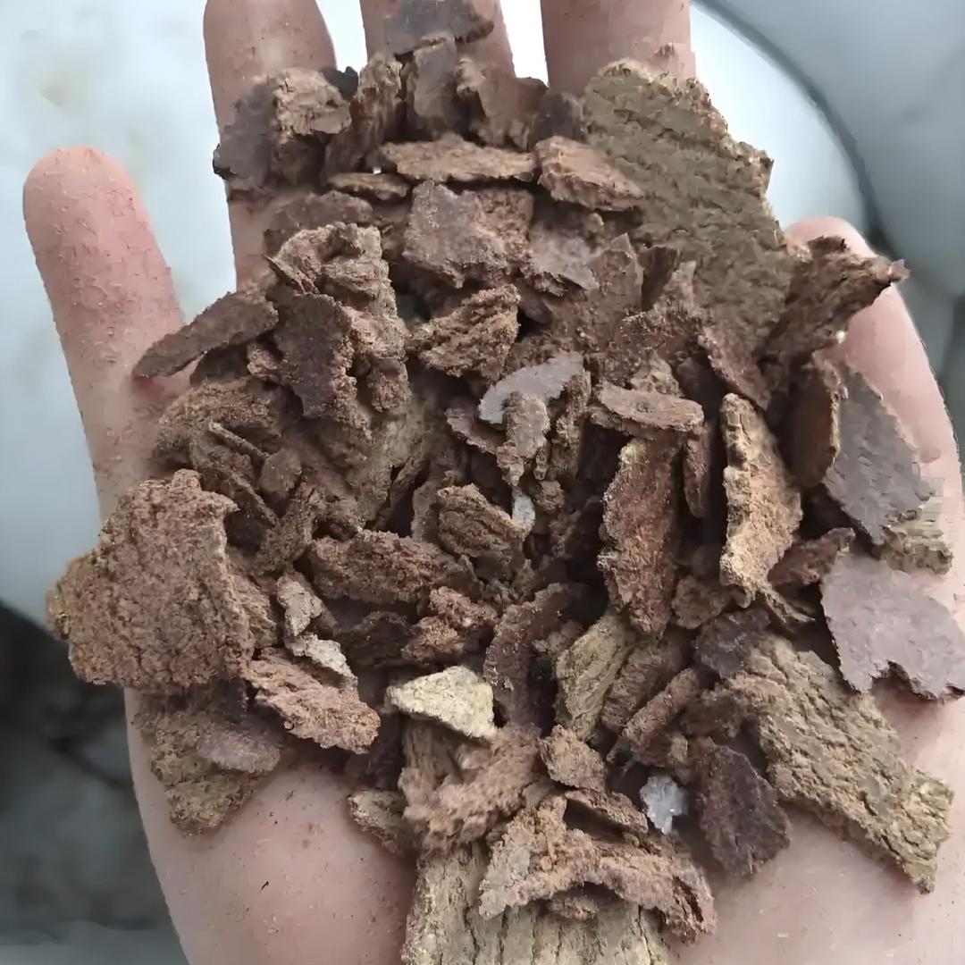 旭谷农乡苗木绿植专卖店壹号