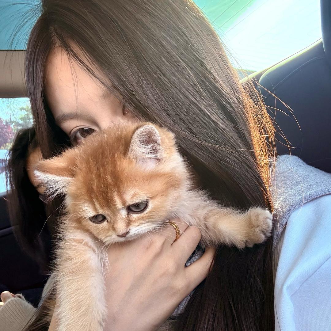 猜猜我是不是