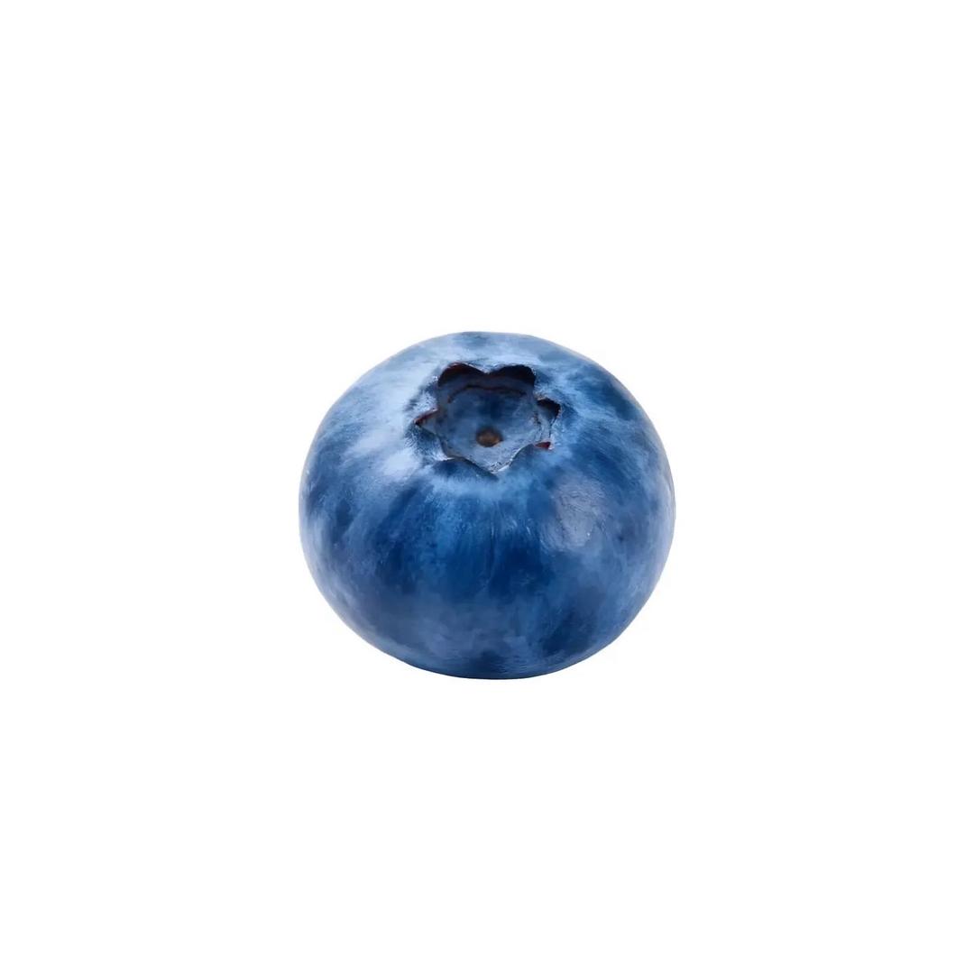 🫐🫐🫐