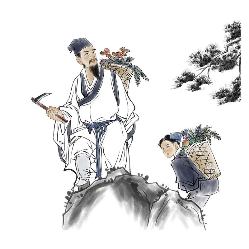 国货老牌植物染发