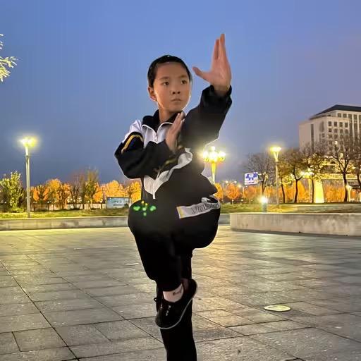 八极拳翟婧茹