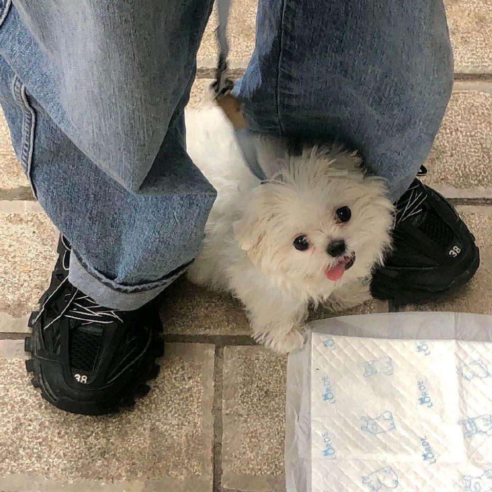 mood