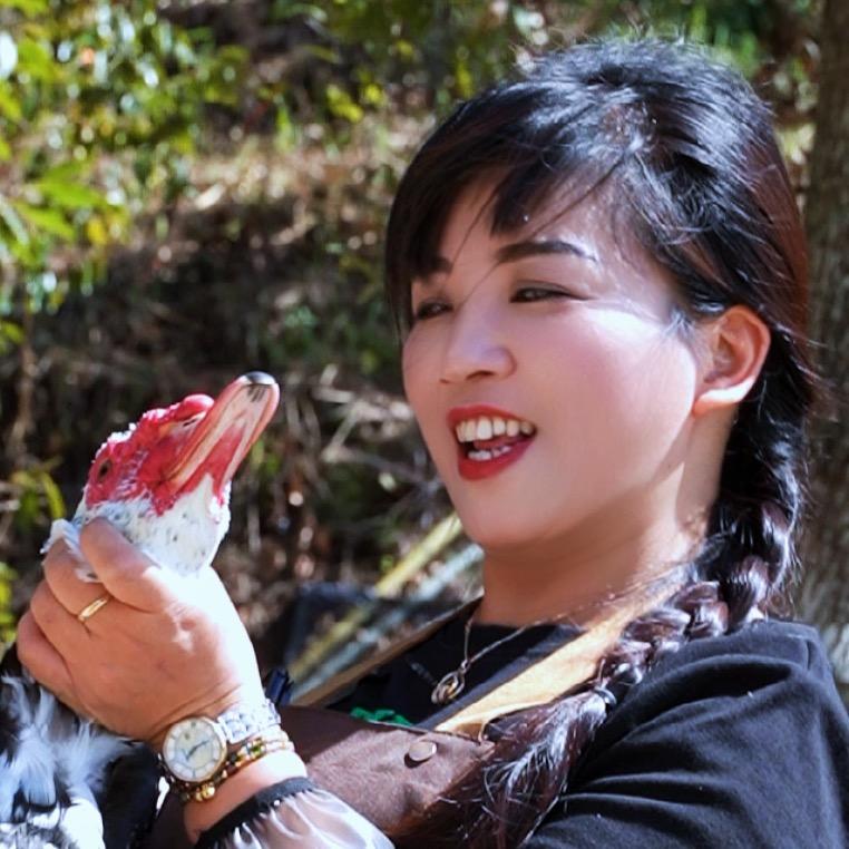 山里人家燕子