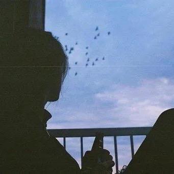 🌸龙乐小姐姐🌸